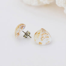 Load image into Gallery viewer, Shell Stud Earrings - Stainless Steel FJD$
