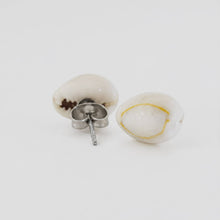 Load image into Gallery viewer, Shell Stud Earrings - Stainless Steel FJD$