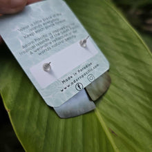 Load image into Gallery viewer, READY TO SHIP Mother of Pearl Stud Earrings - Stainless Steel FJD$