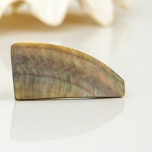 Load image into Gallery viewer, READY TO SHIP Mother of Pearl Stud Earrings - Stainless Steel FJD$