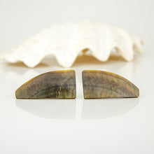 Load image into Gallery viewer, READY TO SHIP Mother of Pearl Stud Earrings - Stainless Steel FJD$