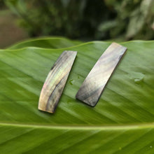 Load image into Gallery viewer, READY TO SHIP Mother of Pearl Stud Earrings - Stainless Steel FJD$