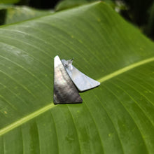 Load image into Gallery viewer, READY TO SHIP Mother of Pearl Stud Earrings - Stainless Steel FJD$