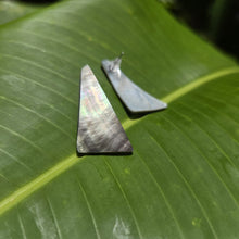 Load image into Gallery viewer, READY TO SHIP Mother of Pearl Stud Earrings - Stainless Steel FJD$