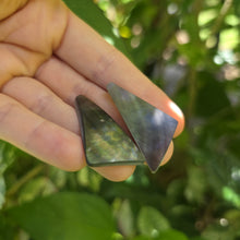 Load image into Gallery viewer, READY TO SHIP Mother of Pearl Stud Earrings - Stainless Steel FJD$