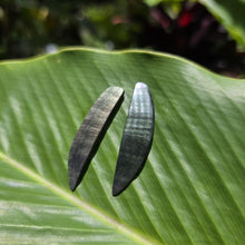 Load image into Gallery viewer, READY TO SHIP Mother of Pearl Stud Earrings - Stainless Steel FJD$