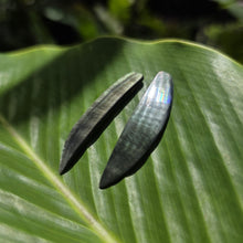 Load image into Gallery viewer, READY TO SHIP Mother of Pearl Stud Earrings - Stainless Steel FJD$