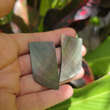 Load image into Gallery viewer, READY TO SHIP Mother of Pearl Stud Earrings - Stainless Steel FJD$