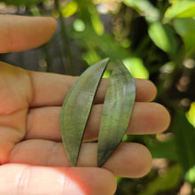 Load image into Gallery viewer, READY TO SHIP Mother of Pearl Stud Earrings - Stainless Steel FJD$