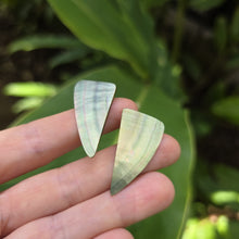 Load image into Gallery viewer, READY TO SHIP Mother of Pearl Stud Earrings - Stainless Steel FJD$