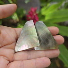 Load image into Gallery viewer, READY TO SHIP Mother of Pearl Stud Earrings - Stainless Steel FJD$