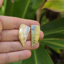 Load image into Gallery viewer, READY TO SHIP Mother of Pearl Stud Earrings - Stainless Steel FJD$