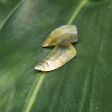 Load image into Gallery viewer, READY TO SHIP Mother of Pearl Stud Earrings - Stainless Steel FJD$