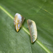 Load image into Gallery viewer, READY TO SHIP Mother of Pearl Stud Earrings - Stainless Steel FJD$