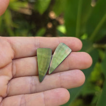 Load image into Gallery viewer, READY TO SHIP Mother of Pearl Stud Earrings - Stainless Steel FJD$