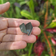 Load image into Gallery viewer, READY TO SHIP Mother of Pearl Stud Earrings - Stainless Steel FJD$