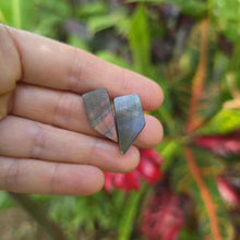 Load image into Gallery viewer, READY TO SHIP Mother of Pearl Stud Earrings - Stainless Steel FJD$