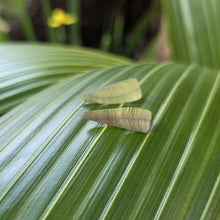 Load image into Gallery viewer, READY TO SHIP Mother of Pearl Stud Earrings - Stainless Steel FJD$