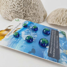 Load image into Gallery viewer, Recycled Ocean Plastic Stud Earring Set - Stainless Steel FJD$
