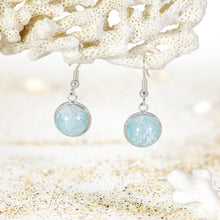 Load image into Gallery viewer, Recycled Ocean Plastic Drop Earrings - Stainless Steel FJD$