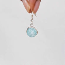 Load image into Gallery viewer, Recycled Ocean Plastic Drop Earrings - Stainless Steel FJD$