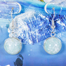 Load image into Gallery viewer, Recycled Ocean Plastic Drop Earrings - Stainless Steel FJD$