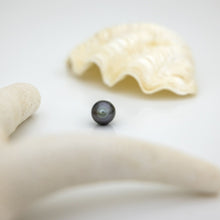 Load image into Gallery viewer, Civa Fiji Loose Saltwater Pearl with Grade Certificate #3040 - FJD$