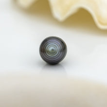 Load image into Gallery viewer, Civa Fiji Loose Saltwater Pearl with Grade Certificate #3040 - FJD$