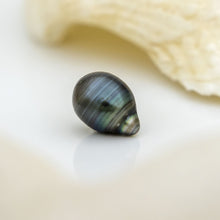 Load image into Gallery viewer, Civa Fiji Loose Saltwater Pearl with Grade Certificate #3040 - FJD$