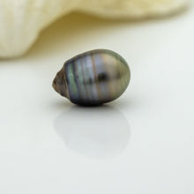 Load image into Gallery viewer, Civa Fiji Loose Saltwater Pearl with Grade Certificate #3042 - FJD$