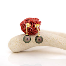 Load image into Gallery viewer, CONTACT US TO RECREATE THIS SOLD OUT STYLE Civa Fiji Graded Pearl Earrings - 14k Solid Gold FJD$