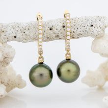 Load image into Gallery viewer, CONTACT US TO RECREATE THIS SOLD OUT STYLE - Civa Fiji Pearl Diamond Earrings - 14k Solid Gold FJD$
