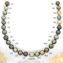Load image into Gallery viewer, Civa Fiji Undrilled Pearls - FJD$