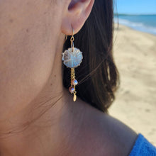 Load image into Gallery viewer, READY TO SHIP Mother of Pearl Drop Earrings with Freshwater Pearls in 14k Gold Fill - FJD$