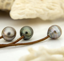 Load image into Gallery viewer, CONTACT US TO RECREATE THIS SOLD OUT STYLE Civa Fiji Saltwater Pearl Leather Necklace - FJD$