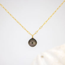 Load image into Gallery viewer, READY TO SHIP Civa Fiji Saltwater Pearl Necklace - 14k Gold Fill FJD$