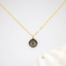 Load image into Gallery viewer, READY TO SHIP Civa Fiji Saltwater Pearl Necklace - 14k Gold Fill FJD$