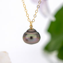 Load image into Gallery viewer, READY TO SHIP Civa Fiji Saltwater Pearl Necklace - 14k Gold Fill FJD$