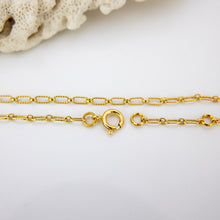 Load image into Gallery viewer, READY TO SHIP Textured Paperclip Chain - 14k Gold Fill FJD$