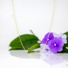 Load image into Gallery viewer, READY TO SHIP Paperclip Chain - 14k Gold Fill FJD$