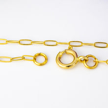 Load image into Gallery viewer, READY TO SHIP Paperclip Chain - 14k Gold Fill FJD$