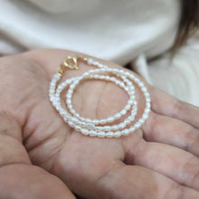 Load image into Gallery viewer, READY TO SHIP Freshwater Pearl Choker Necklace - 14k Gold Fill FJD$