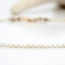 Load image into Gallery viewer, READY TO SHIP Freshwater Pearl Choker Necklace - 14k Gold Fill FJD$