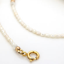 Load image into Gallery viewer, READY TO SHIP Freshwater Pearl Choker Necklace - 14k Gold Fill FJD$