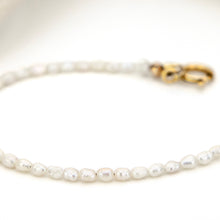 Load image into Gallery viewer, READY TO SHIP Freshwater Pearl Choker Necklace - 14k Gold Fill FJD$