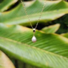 Load image into Gallery viewer, READY TO SHIP Freshwater Pearl Necklace - 14k Gold Fill FJD$