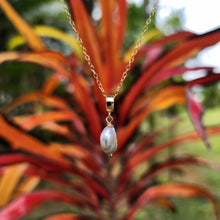 Load image into Gallery viewer, READY TO SHIP Freshwater Pearl Necklace - 14k Gold Fill FJD$