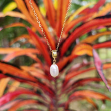Load image into Gallery viewer, READY TO SHIP Freshwater Pearl Necklace - 14k Gold Fill FJD$