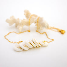 Load image into Gallery viewer, READY TO SHIP Shell Money Necklace - 14k Gold Fill FJD$