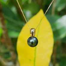 Load image into Gallery viewer, READY TO SHIP Graded Civa Saltwater Pearl Necklace - 14k Solid Gold FJD$